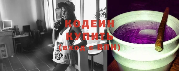 ГАЛЛЮЦИНОГЕННЫЕ ГРИБЫ Арсеньев