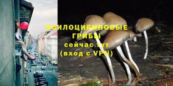 ГАЛЛЮЦИНОГЕННЫЕ ГРИБЫ Арсеньев