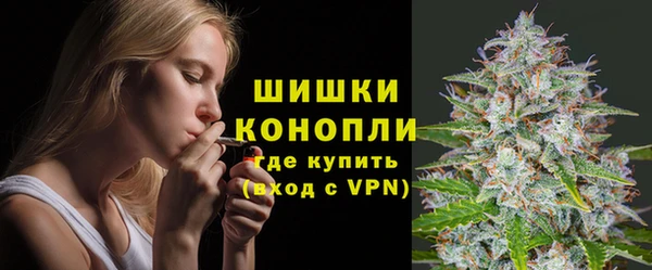 ГАЛЛЮЦИНОГЕННЫЕ ГРИБЫ Арсеньев