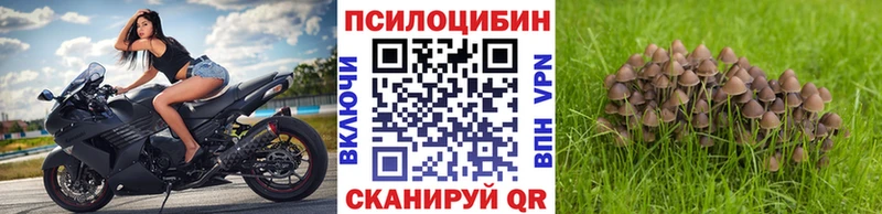 Галлюциногенные грибы Psilocybe  наркота  Белоусово 